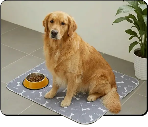 Dog recognizing the PupVilo pad spot