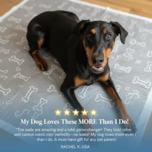 PupVilo Pup Pad